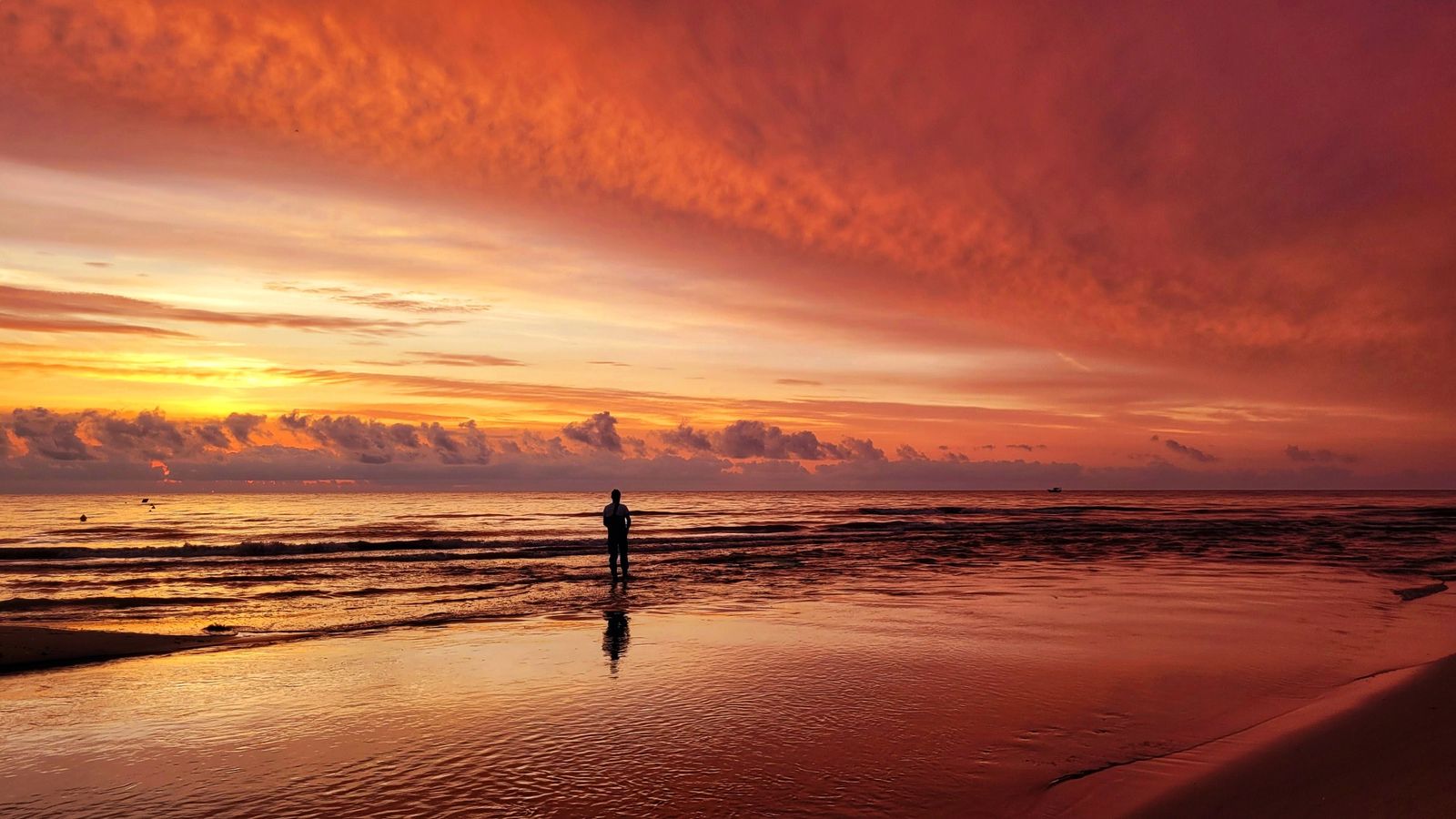 MARENY DE BARRAQUETES, SUECA