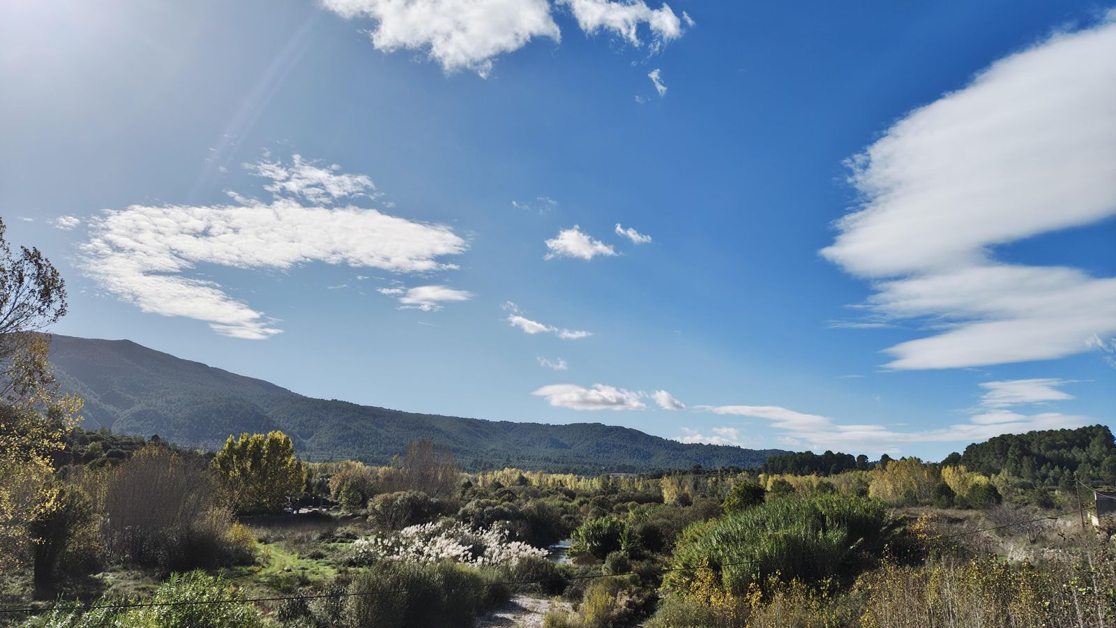 ISIDRE PEGENAUTE, L'Orxa, el Comtat