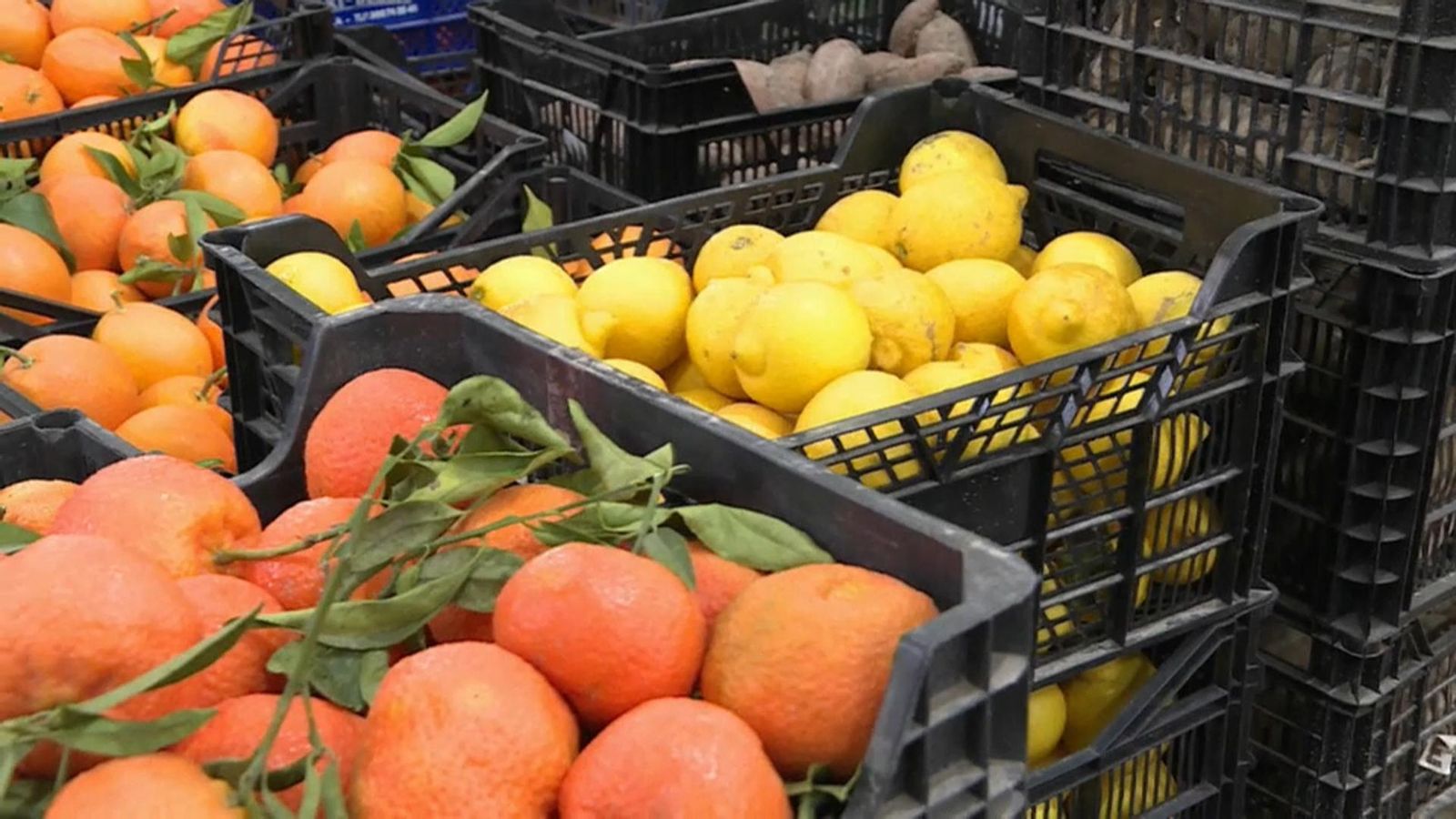 El preu dels productes agrícoles es multiplica per quatre del camp a la taula