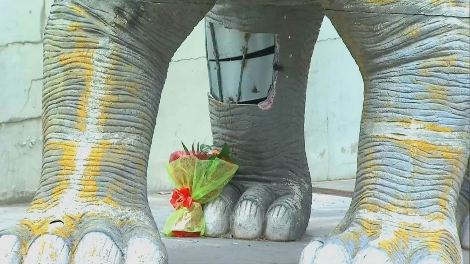 Flors al dinosaure on s'ha trobat el cadàver