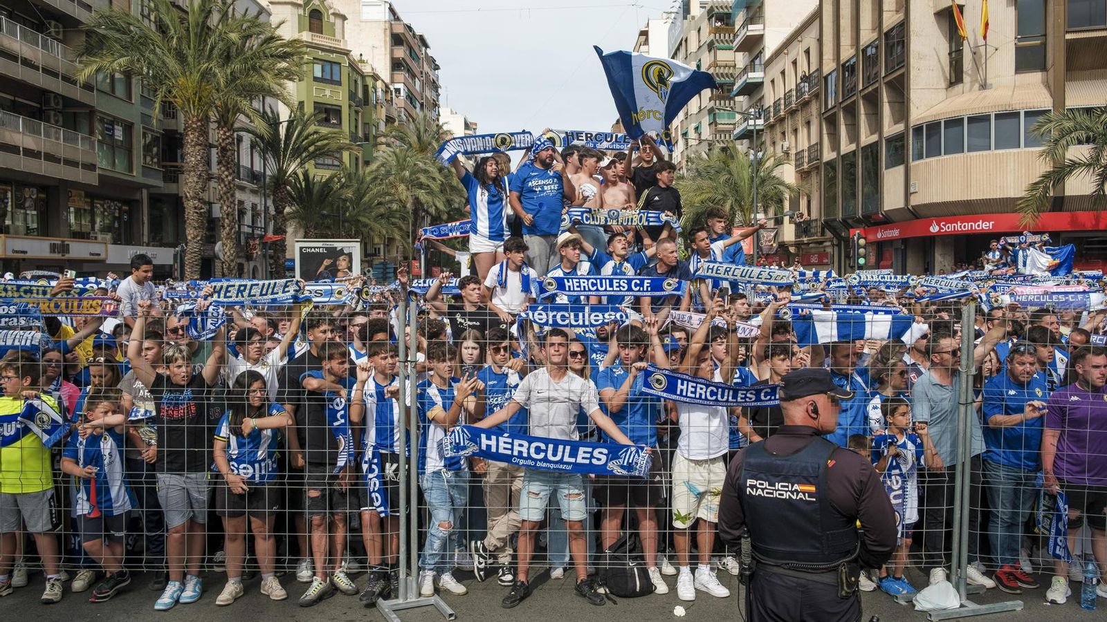 Alacant continua celebrant l'ascens de l'Hèrcules Alacant continua celebrant l'ascens de l'Hèrcules