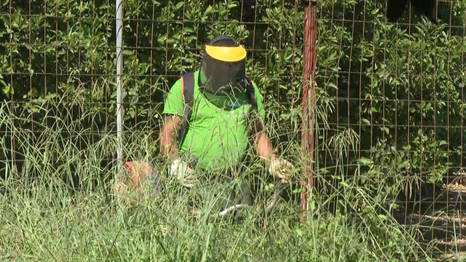 Un treballador desbrossa un paratge municipal a Gandia