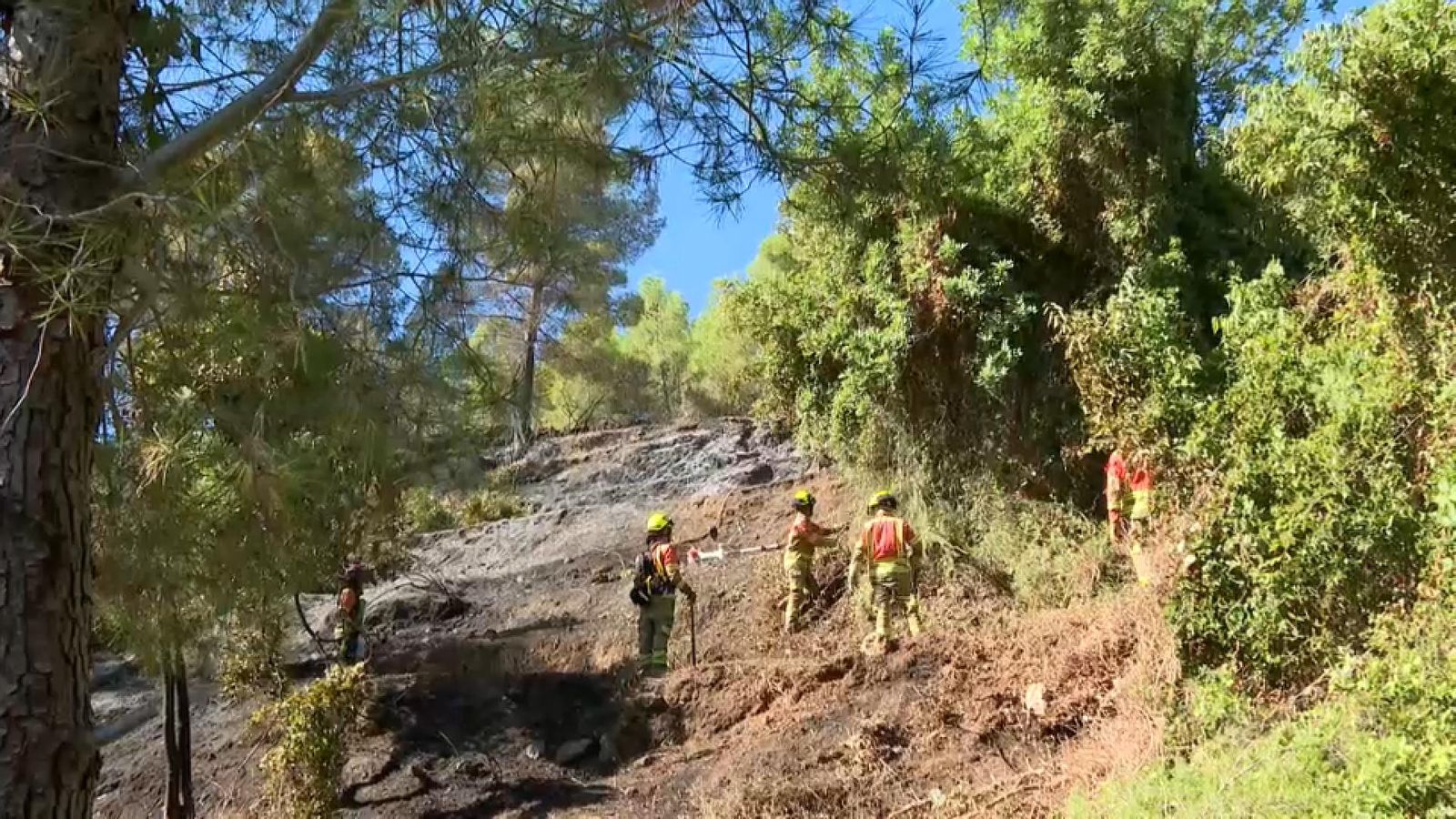 Efectius dels bombers treballen a Buñol, este dijous