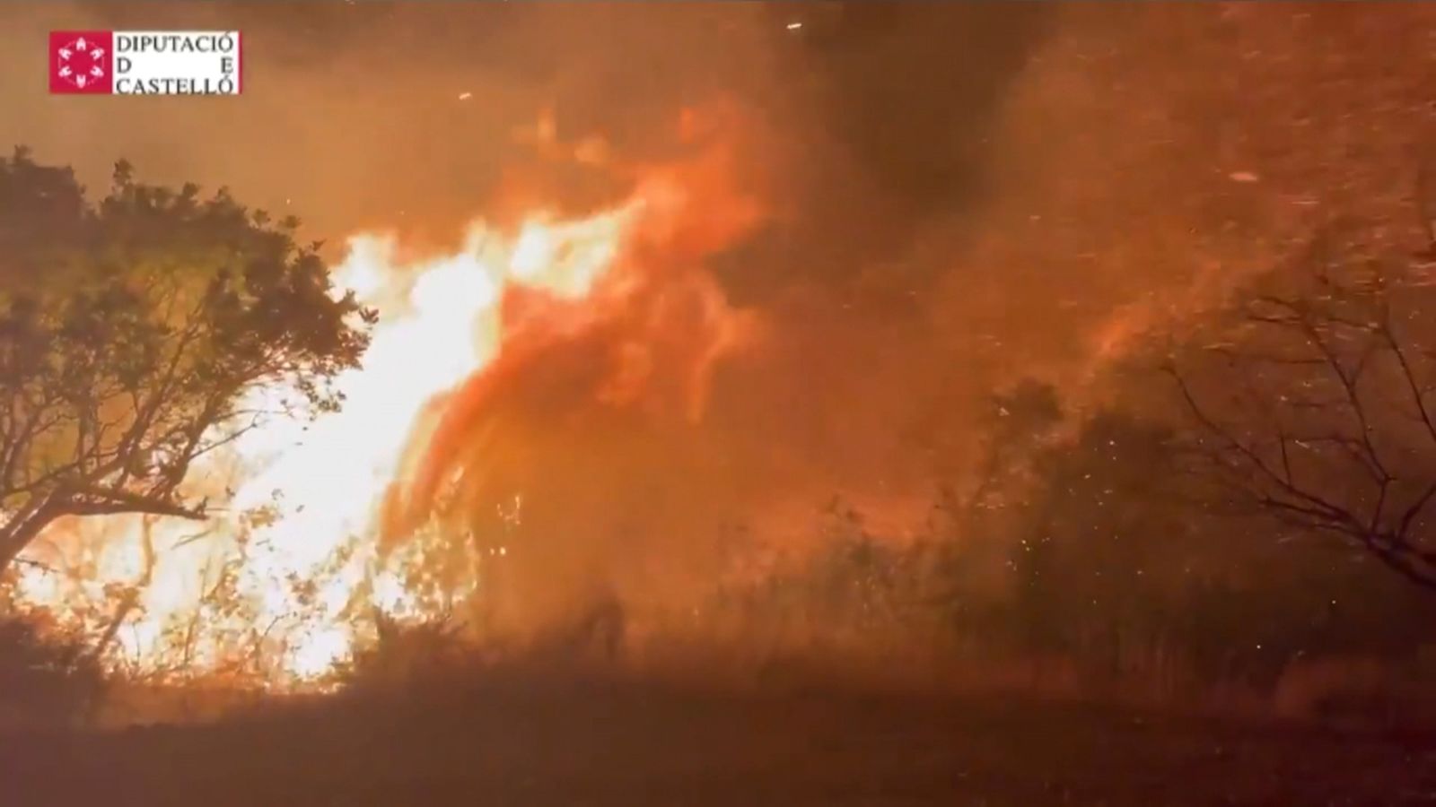 Incendi Forestal Assuévar