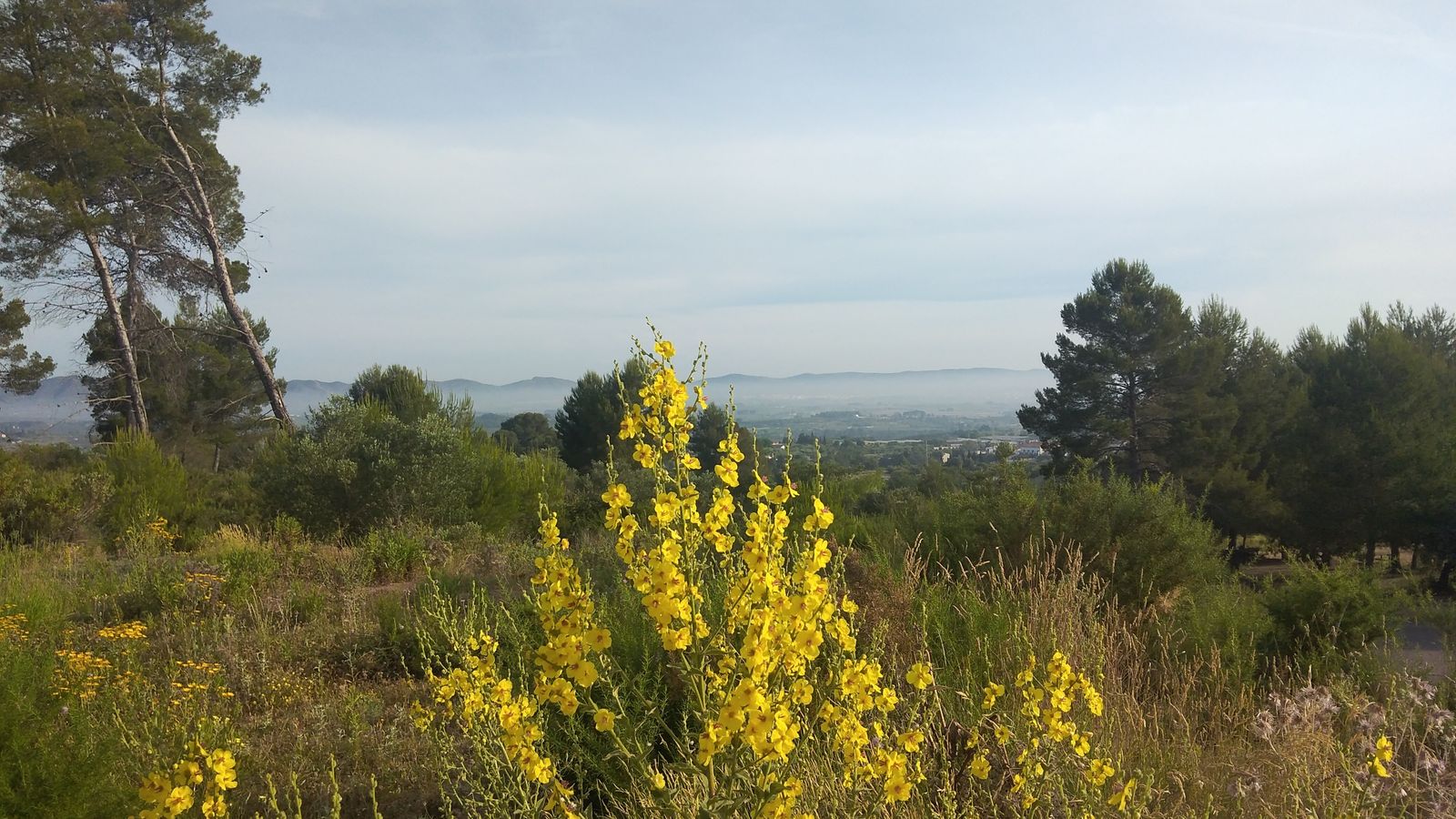 8.AGULLENT, LA VALL D'ALBAIDA, SEBASTIÀ COTS