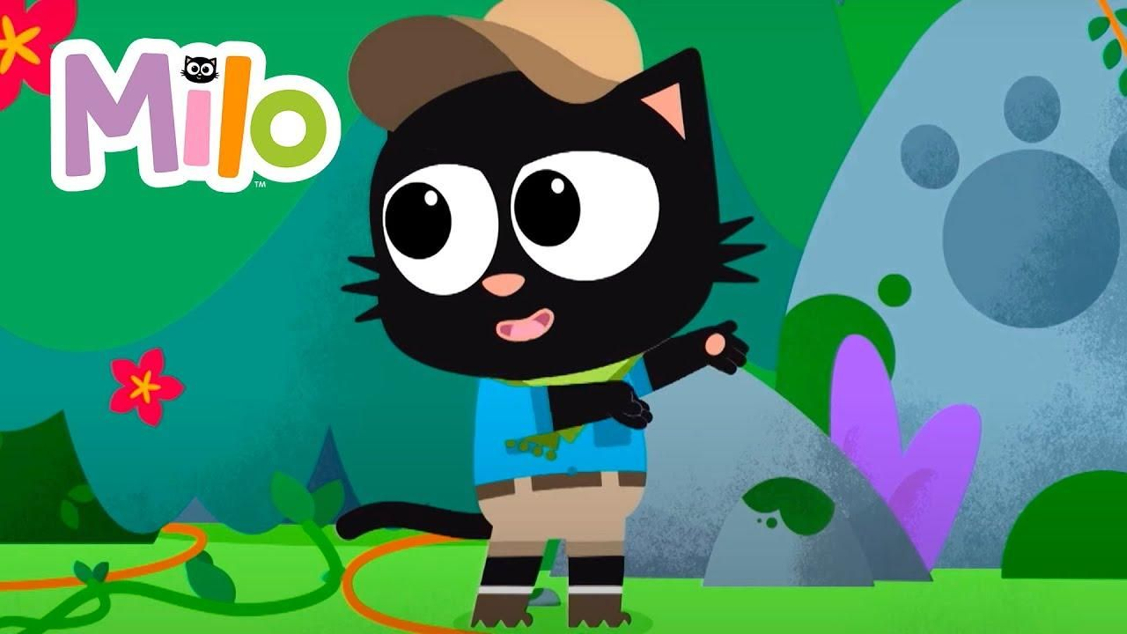 Milo és un gat aventurer de cinc anys.