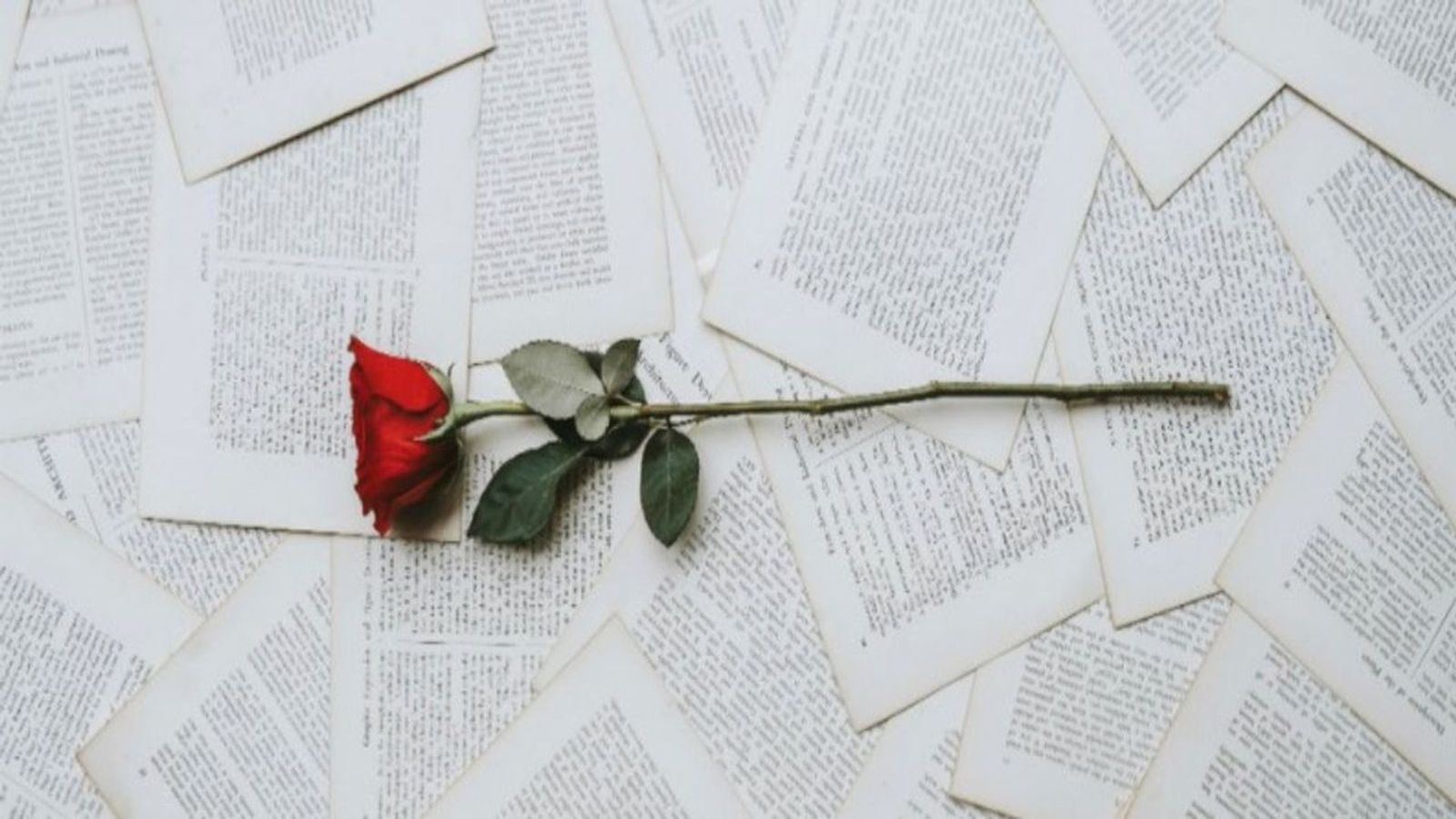 23.04.2019 | Celebrem Sant Jordi fent una reflexió sobre la relació entre literatura i música