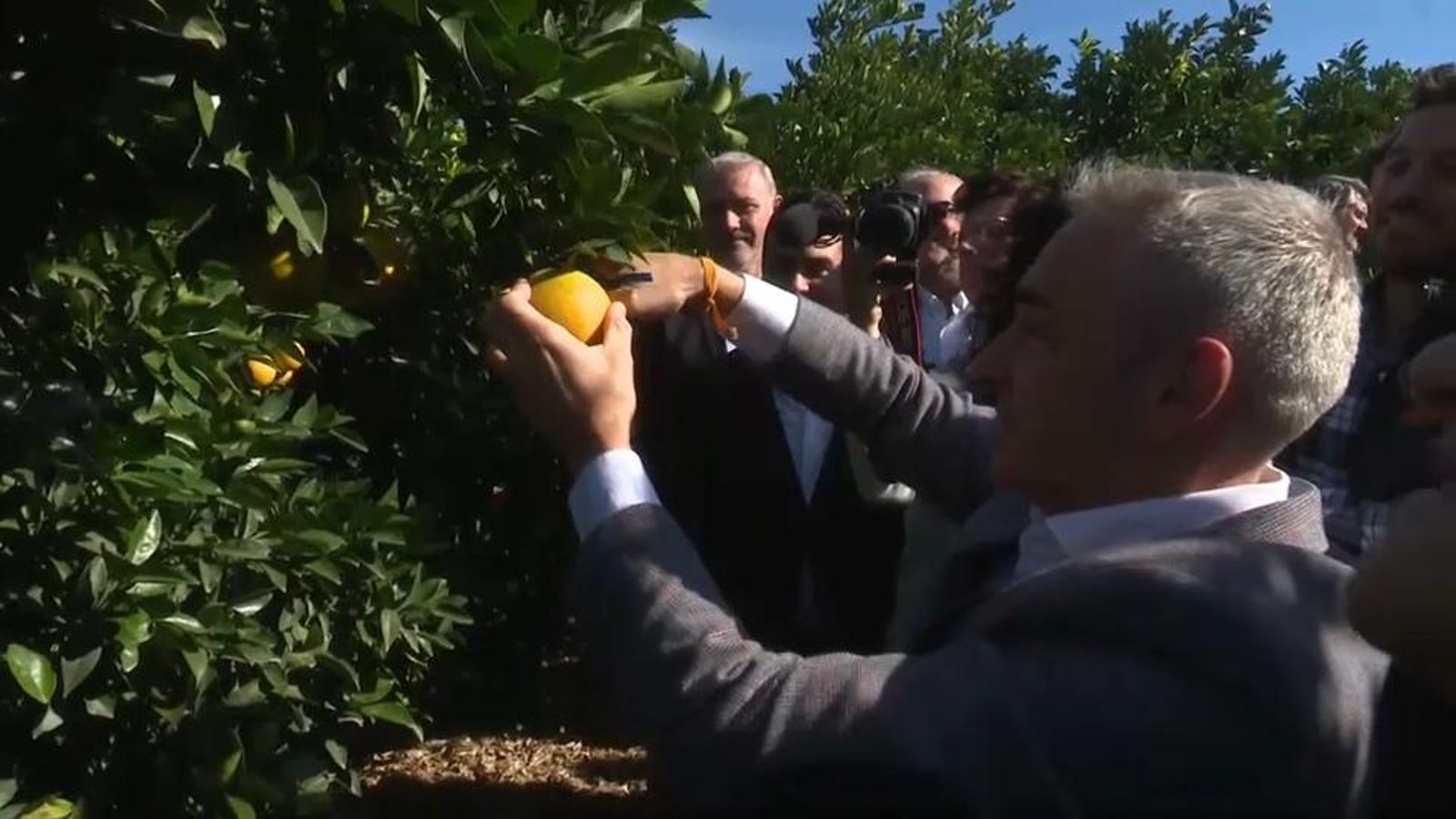 La competència de països tercers i l'augment de costos per les plagues compromet una collita que esperaven més rendible