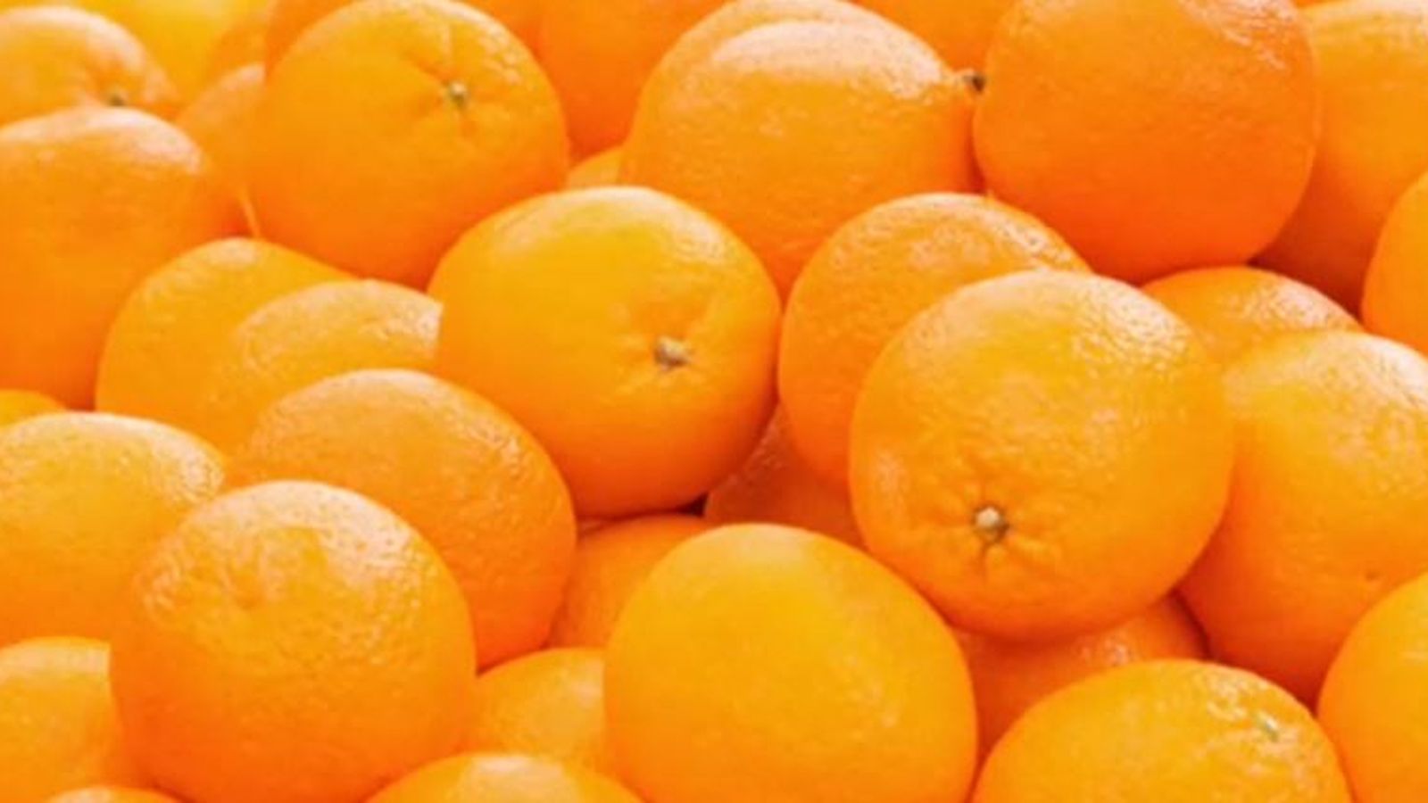 Han tractat l'inici d'una campanya de promoció de cítrics per a fomentar el seu consum a escala nacional i internacional.