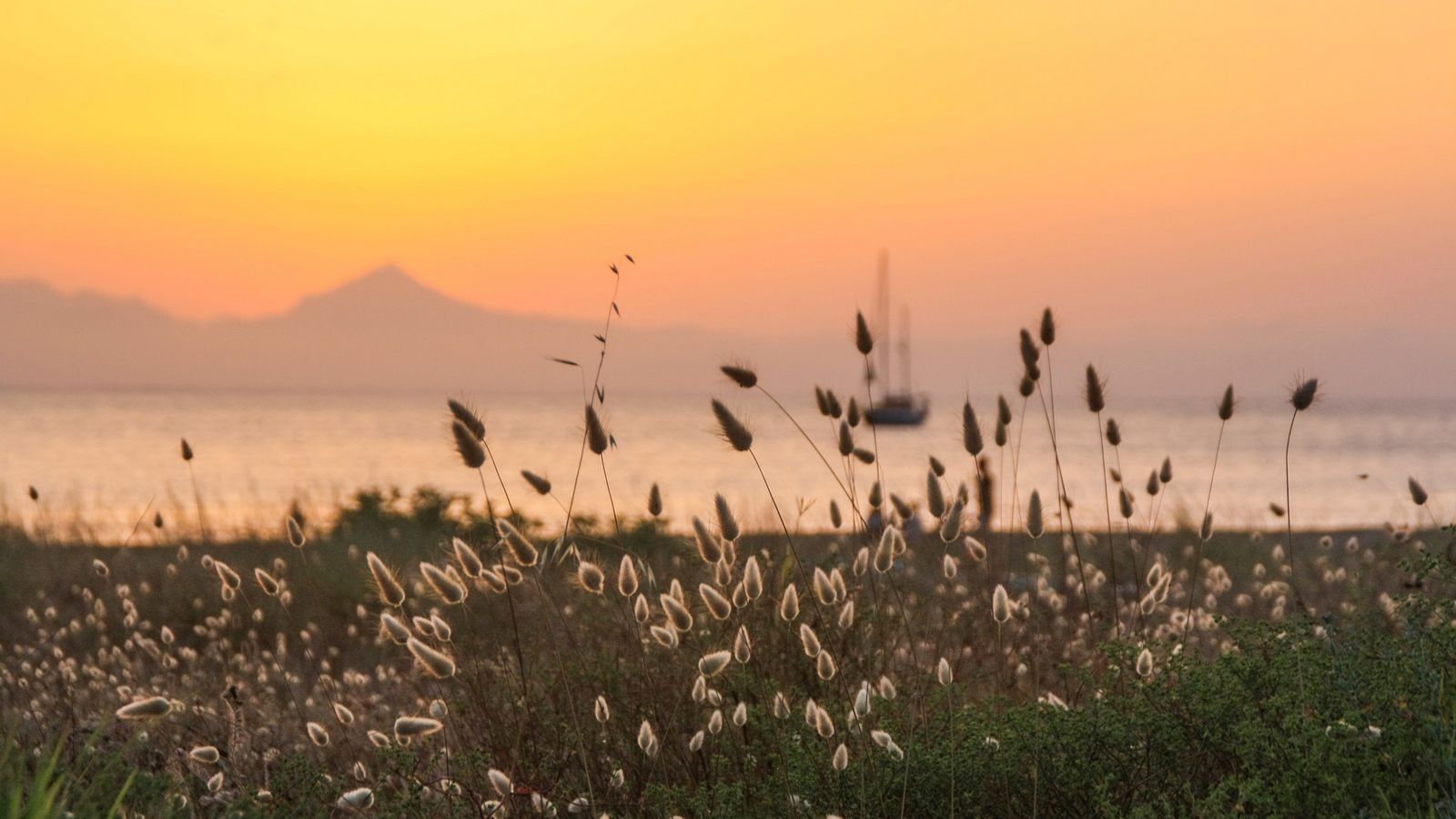 4.DÉNIA, LA MARINA ALTA, ANDRÉS FORNÉS
