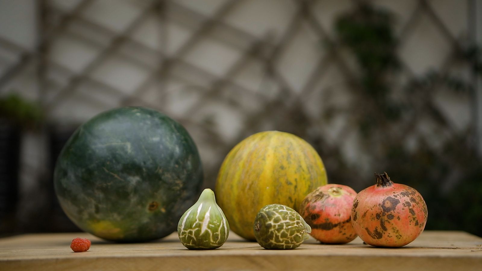 Cuina ecològica vegetariana
