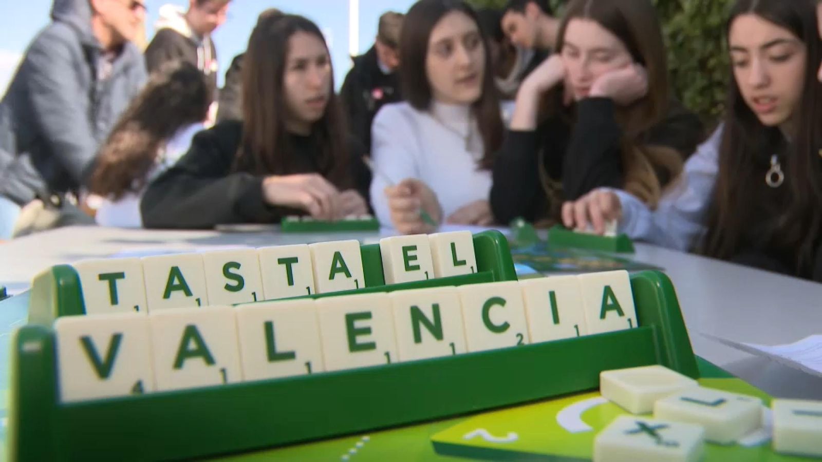 Vint anys de Voluntariat pel Valencià