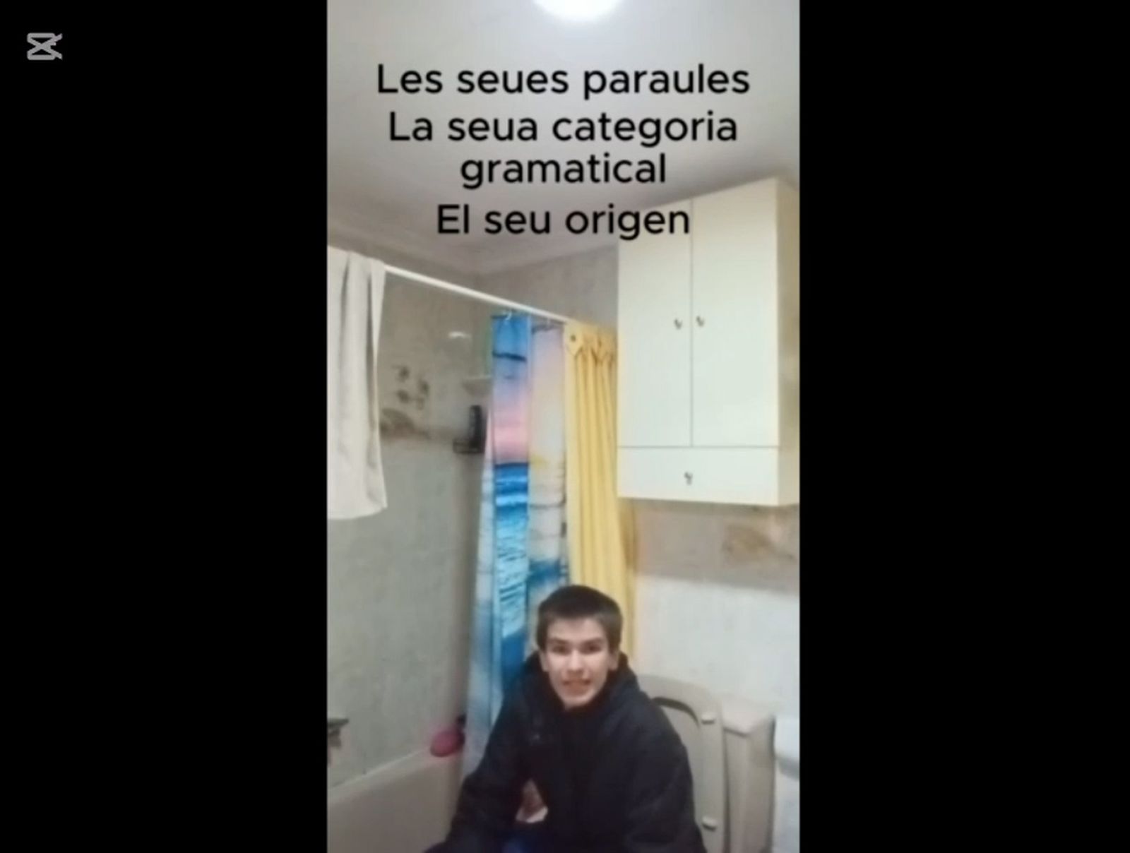 Els diccionaris