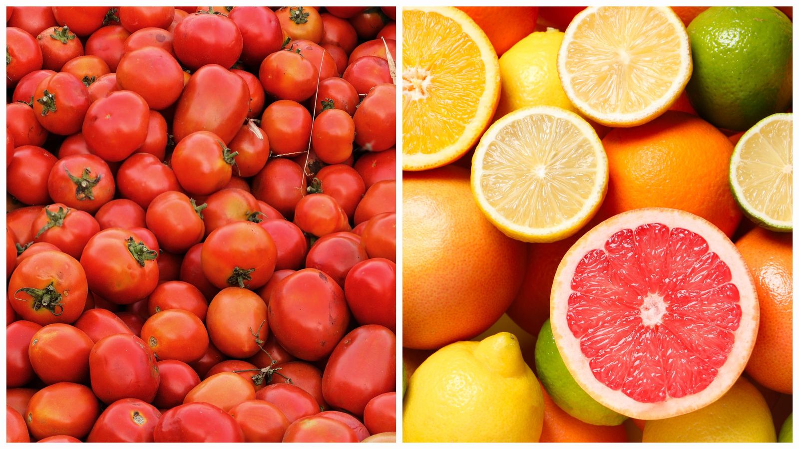 Tomaques i cítrics, cultius clau a la Comunitat Valenciana