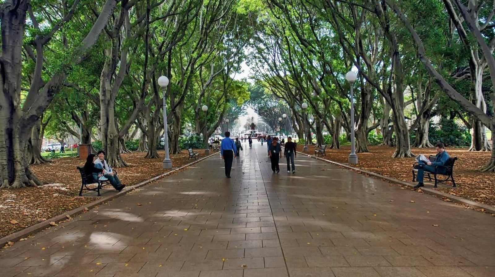 Hyde Park, un lloc preciós per a passejar