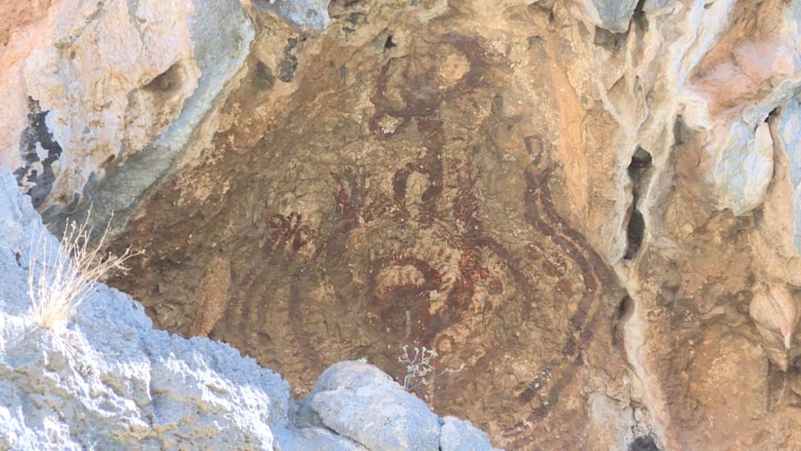 Pintura rupestre de 'L'Orant', als Plans de Petracos (Castell de Castells)