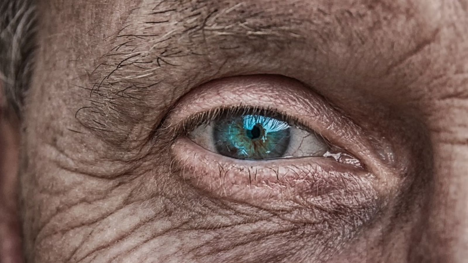 12.10.2018 | Xarxes | Una app per als més majors