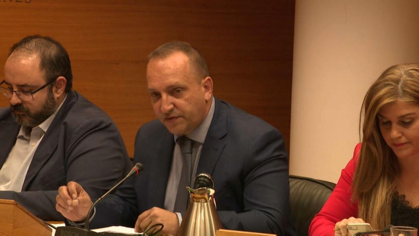 Rubén Martínez Dalmau durant la compareixença a les Corts