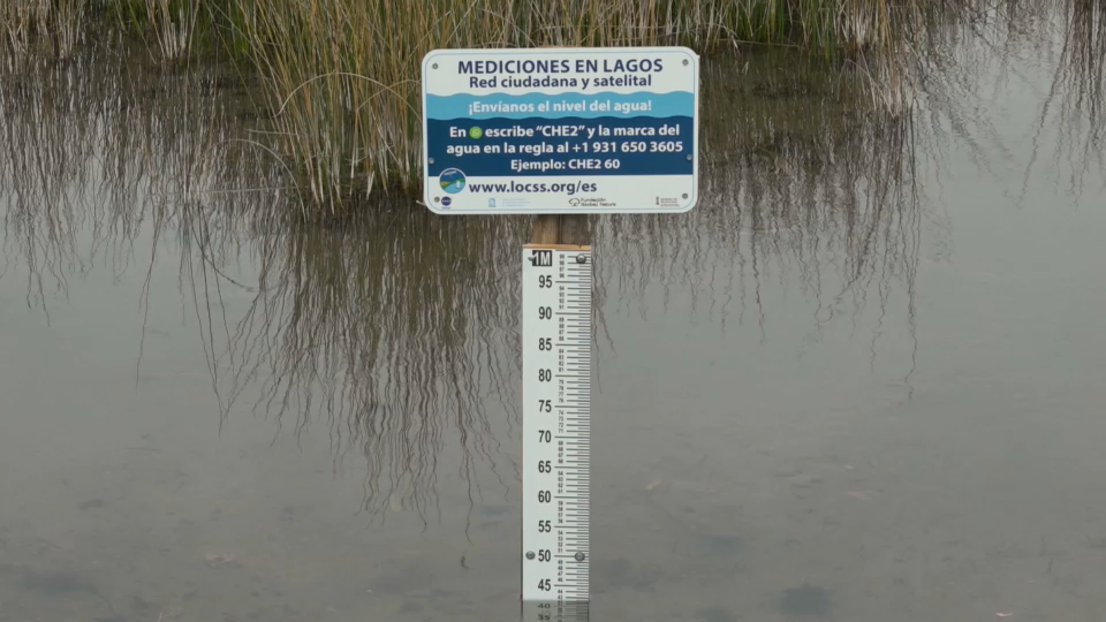 'La via verda' ha conegut sobre el terreny este projecte de col·laboració pioner a Espanya