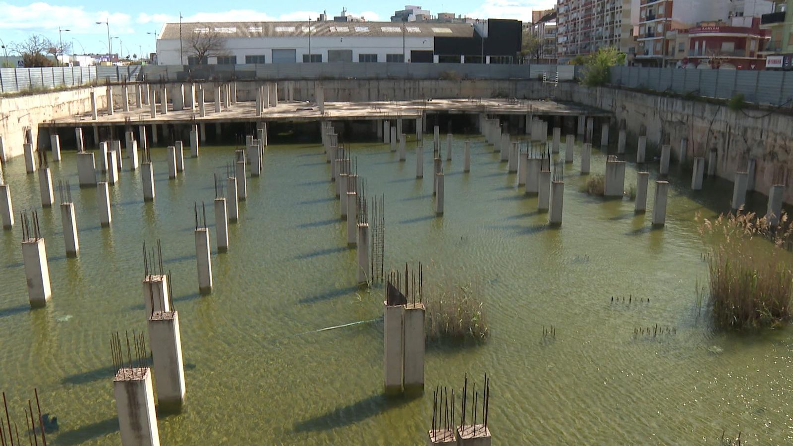 El solar d'Alzira on s'acumulen els mosquits