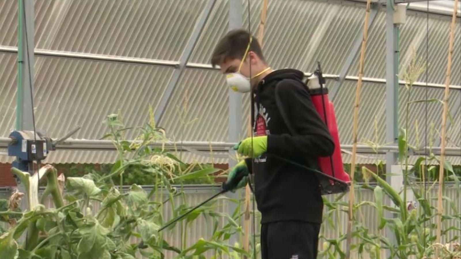 Imatge d'arxiu d'un jove llaurador