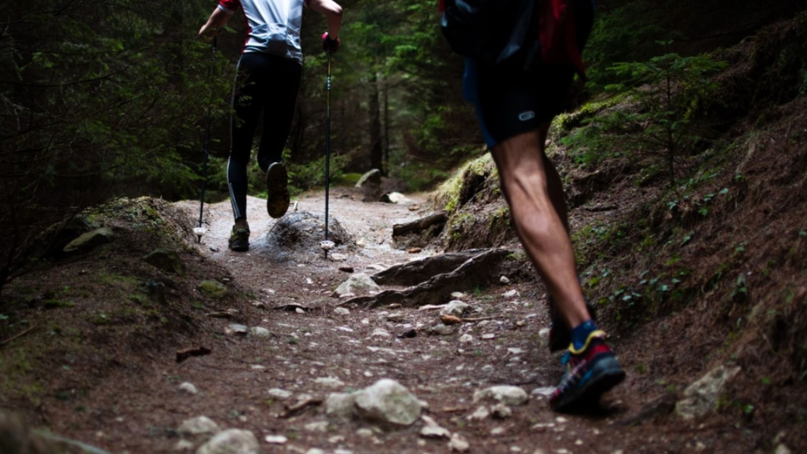 Imatge d'un trail de muntanya