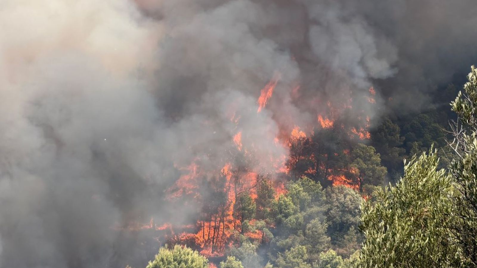 El foc de la Vall d'Uixó és el que genera més preocupació.