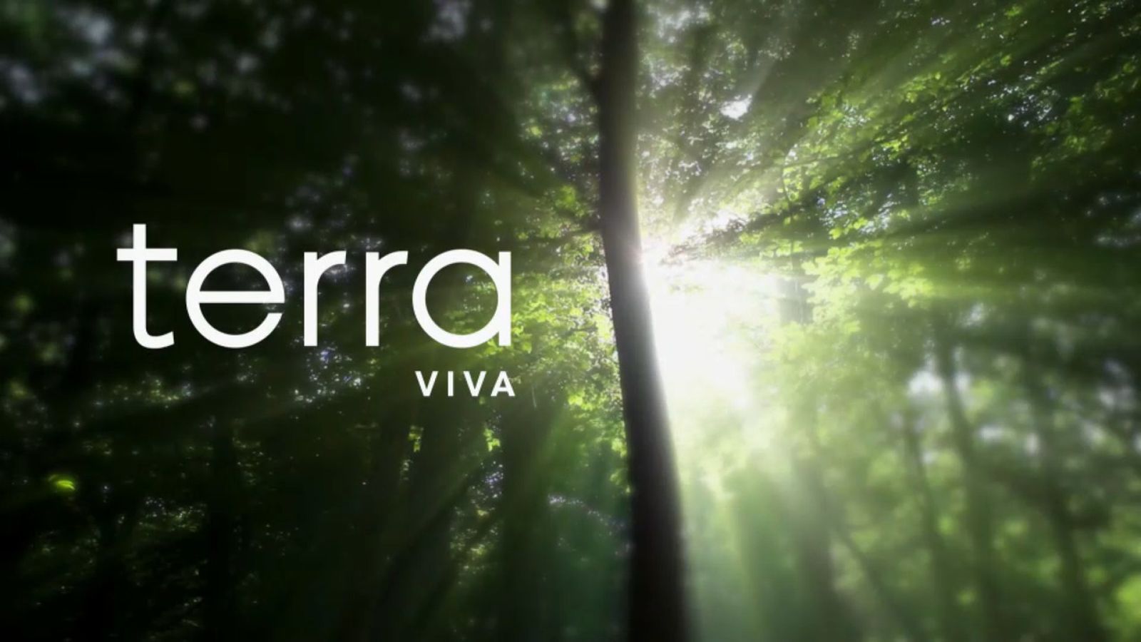 16.06.2023 | Terra viva