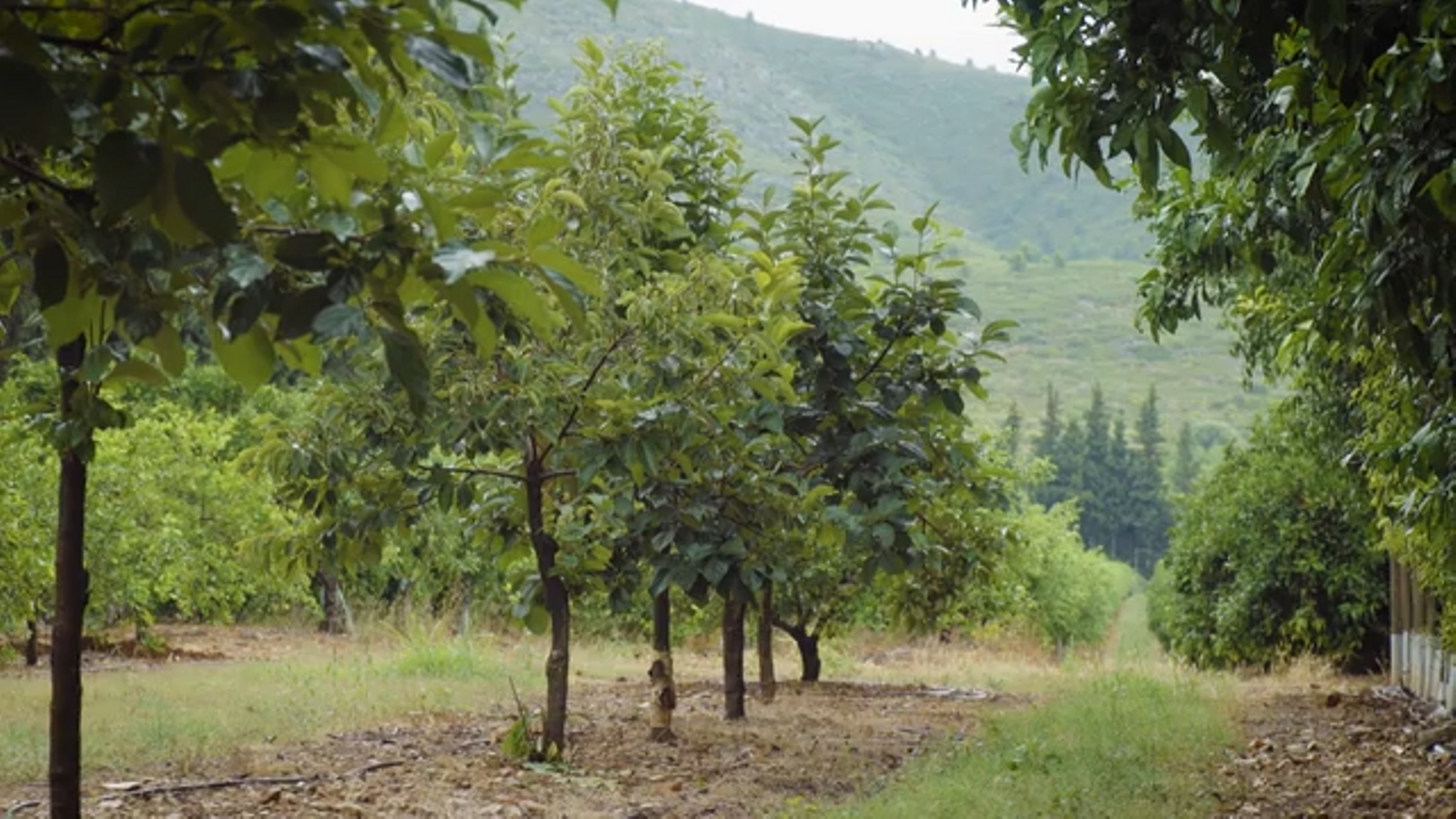 11.08.2023 | Terra Viva