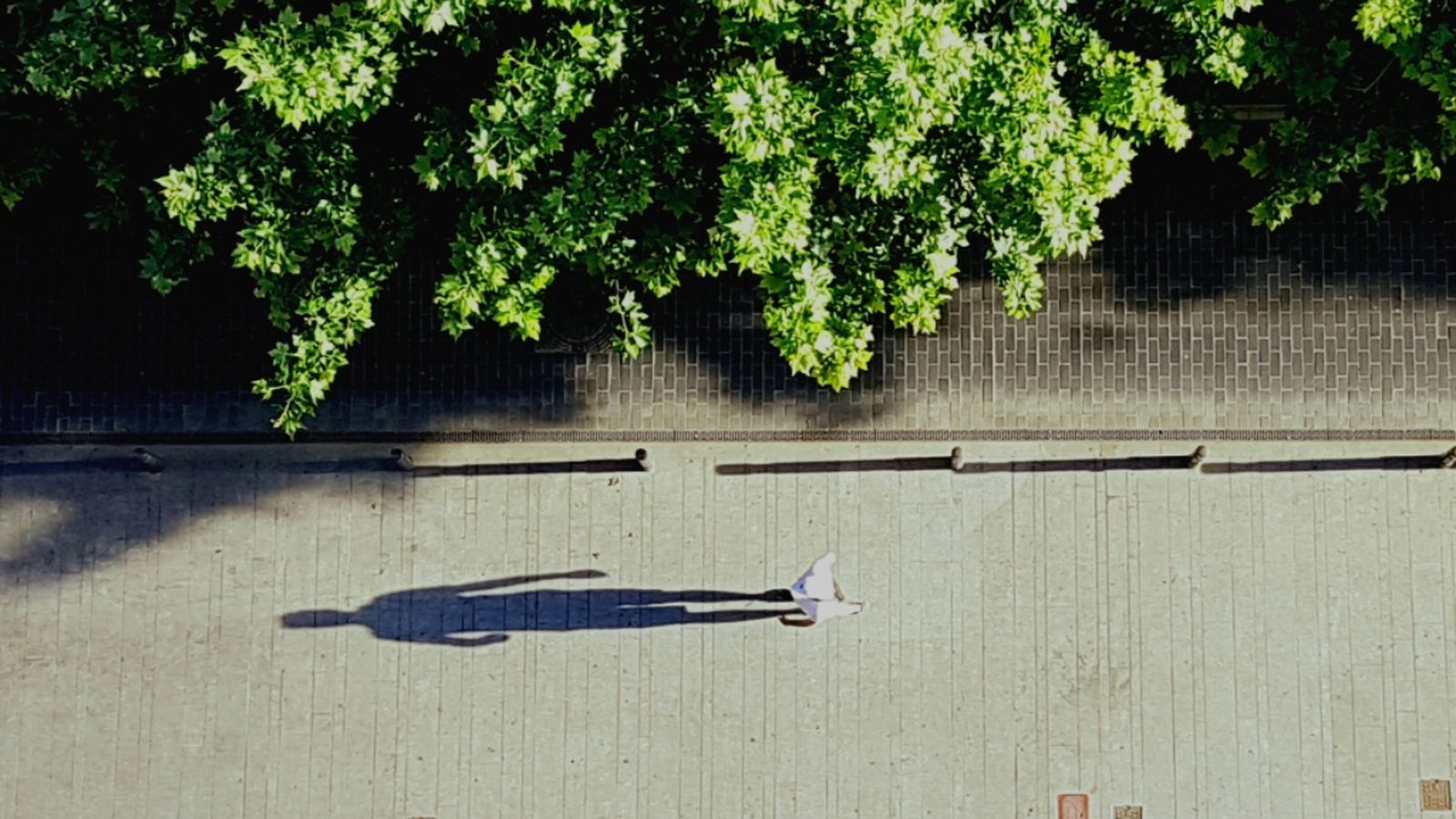 Una de les imatges de la mostra “De la pantalla al carrer. Imatges del confinament”, que organitza l’Ajuntament de Gandia a partir de fotos de la ciutadania