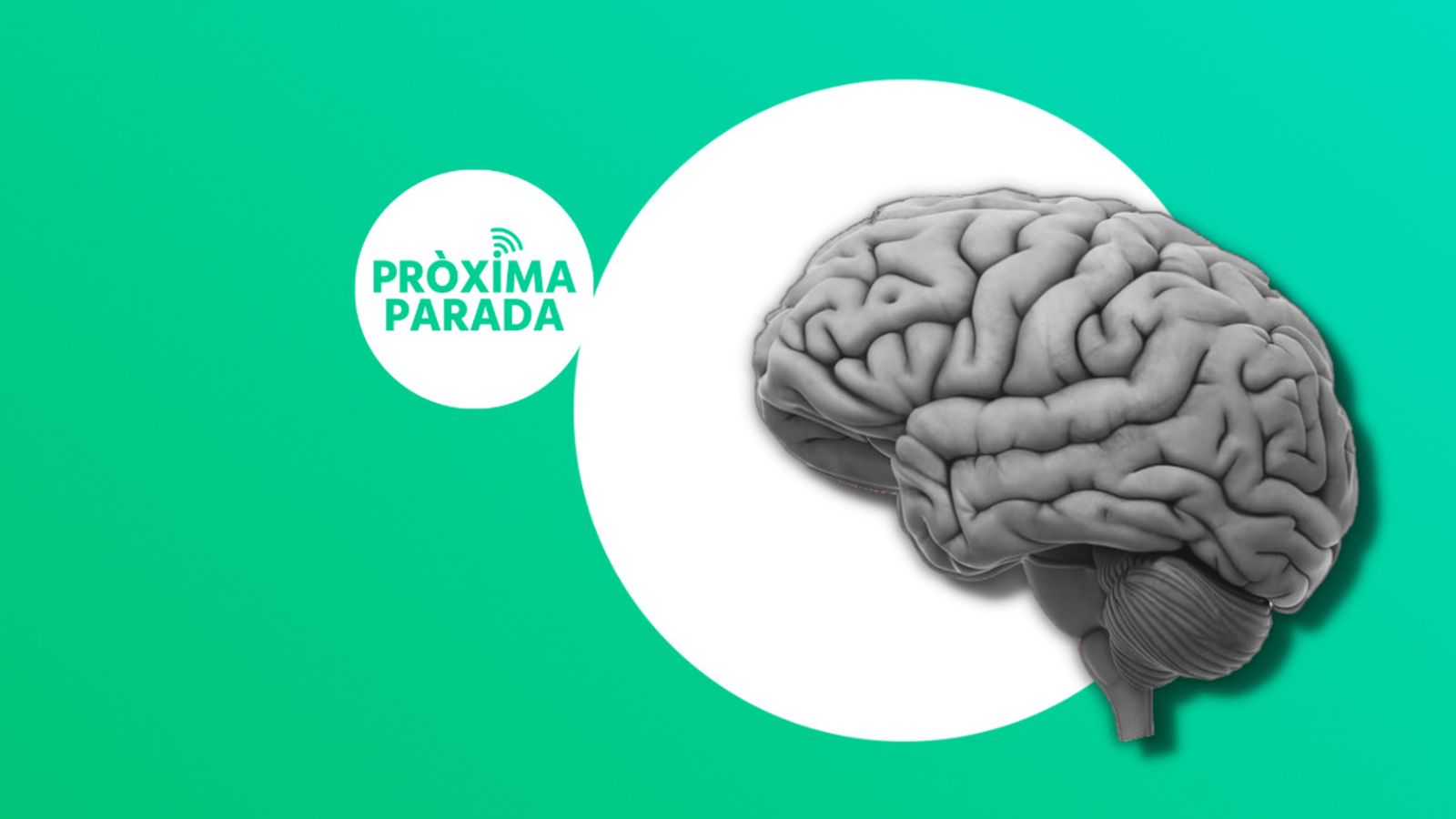 12.06.2023 | El psicòleg: el mètode SMART