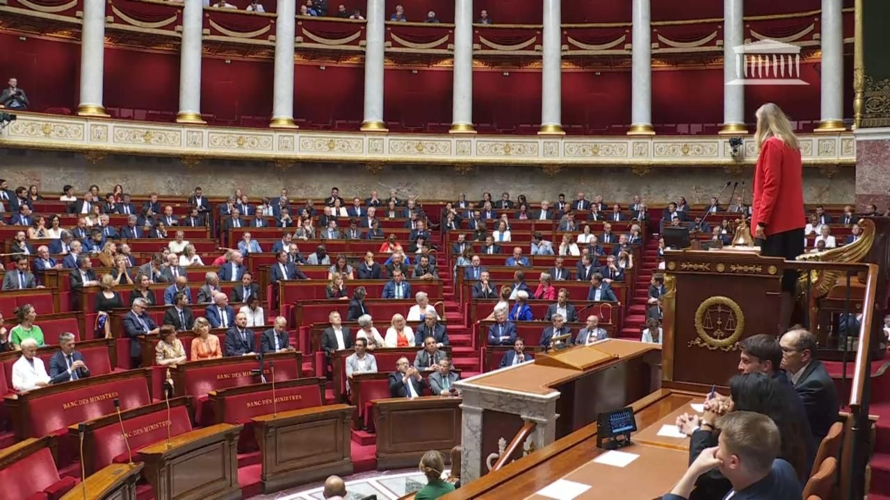 Assemblea França