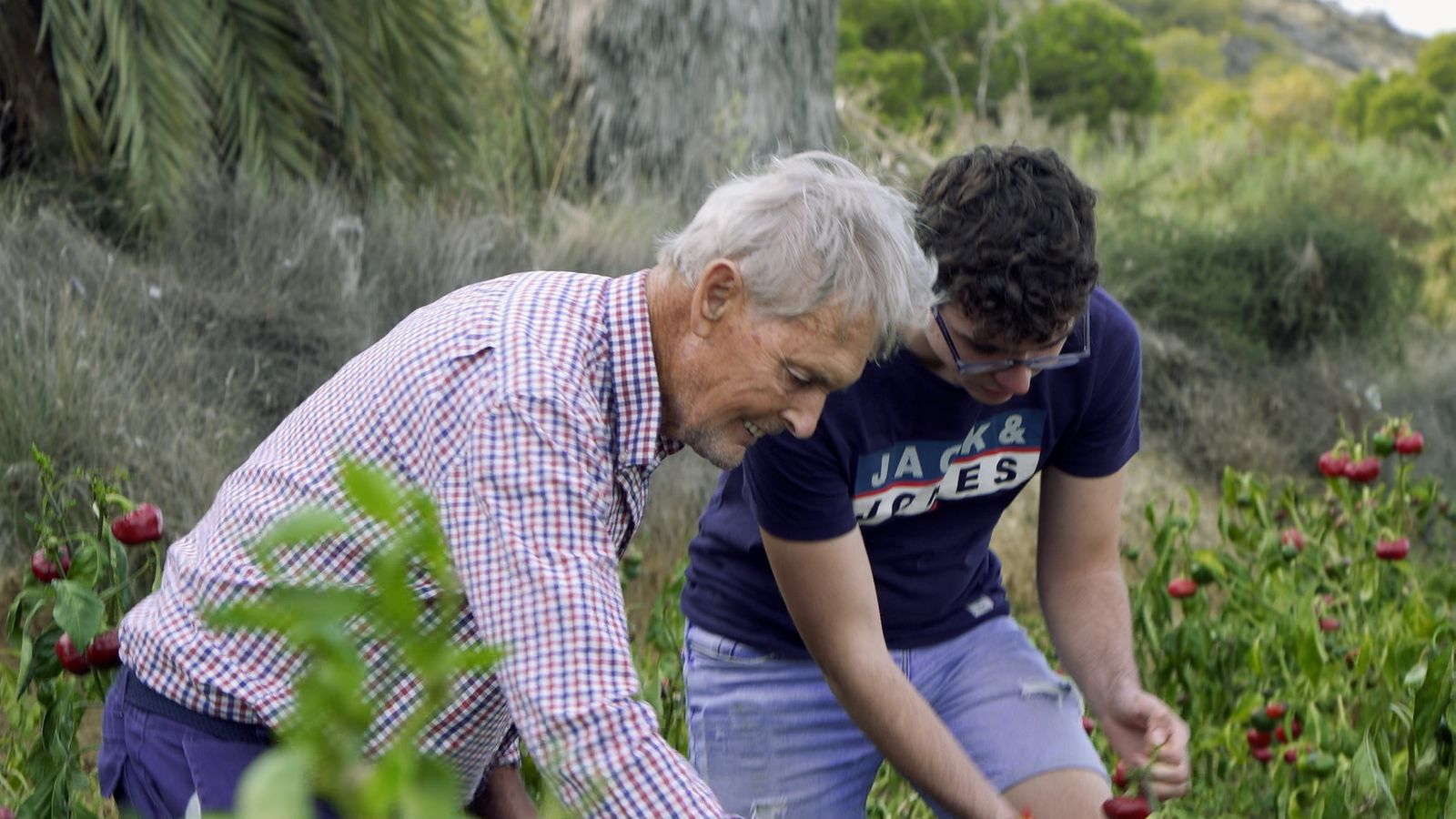 Els joves no veuen atractiu treballar en l'horta