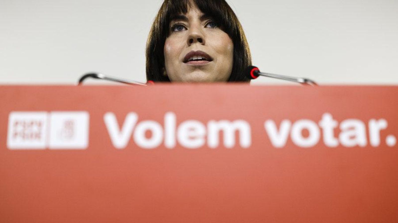 La ministra i secretària general del PSPV Diana Morant