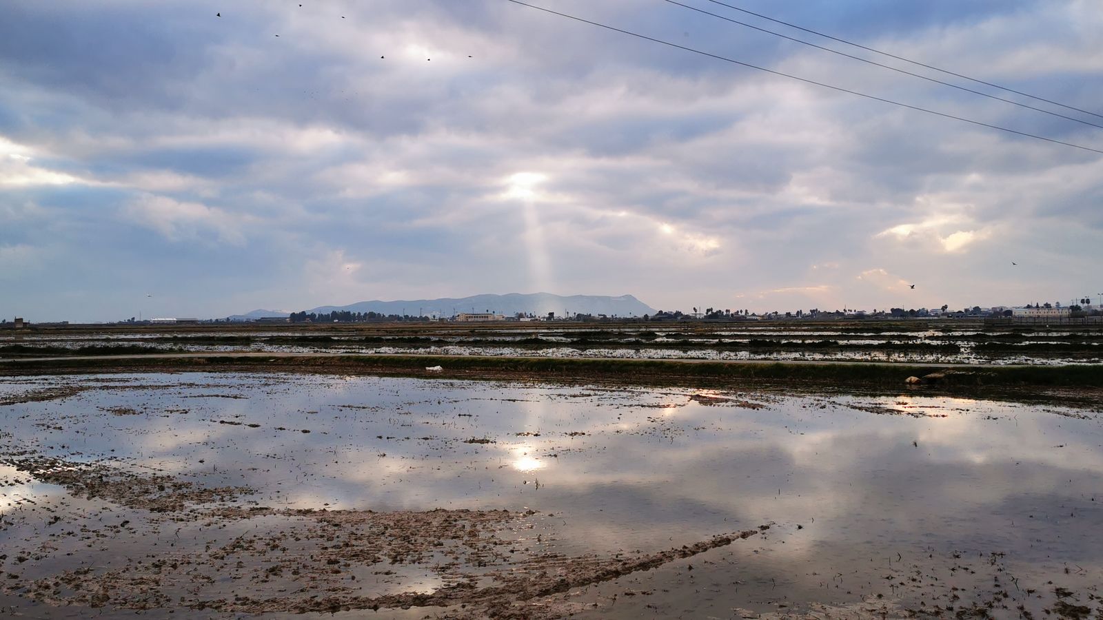 Sueca, la Ribera Baixa