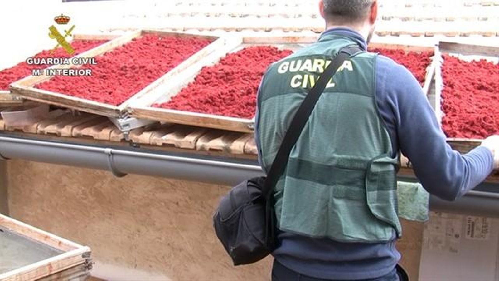 Desmantellen a Novelda un laboratori clandestí que adulterava safrà