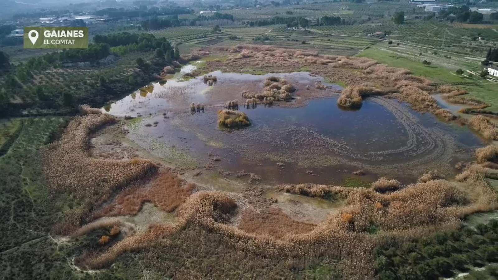Terra viva | Vista panoràmica de l'albufera de Gaianes, el Comtat