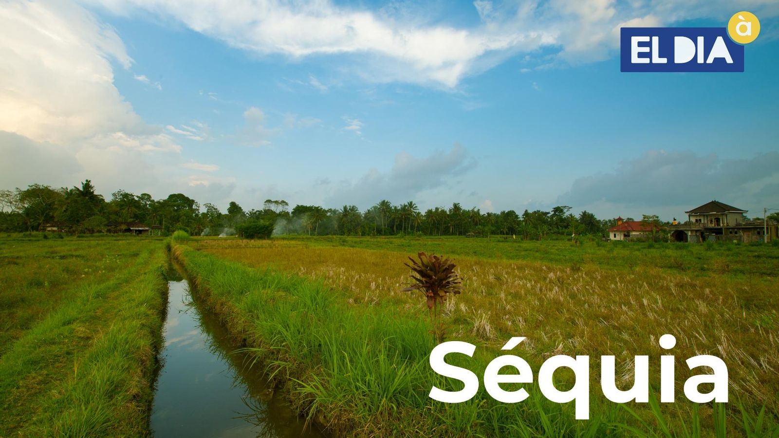 02.07.2021 | La paraula de la setmana: ‘sèquia’