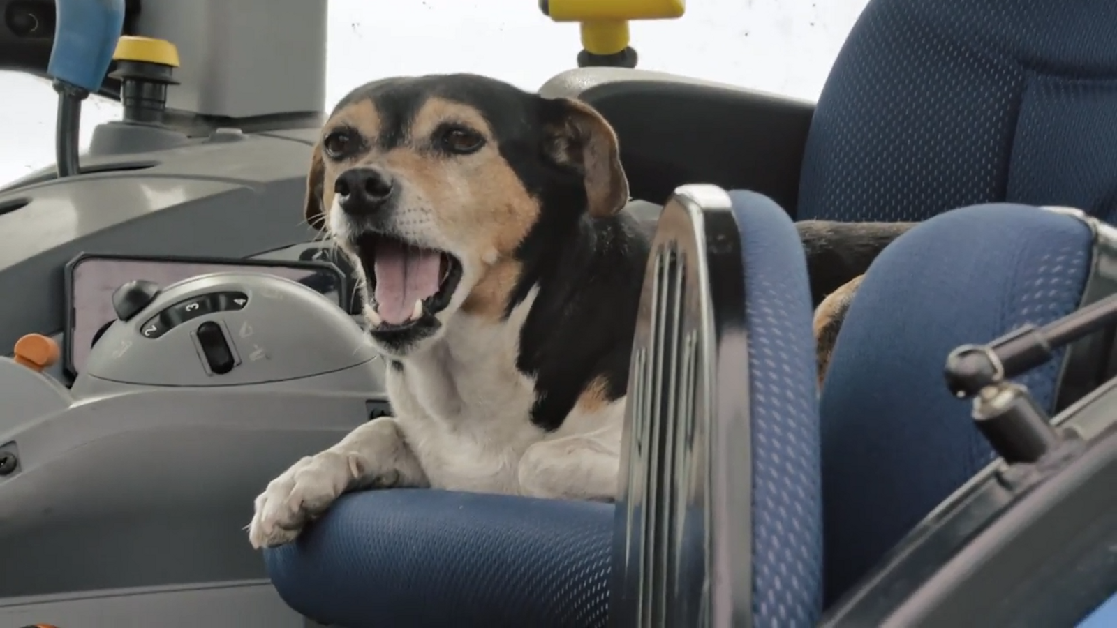 De mar i bancal | De parts i pentinats