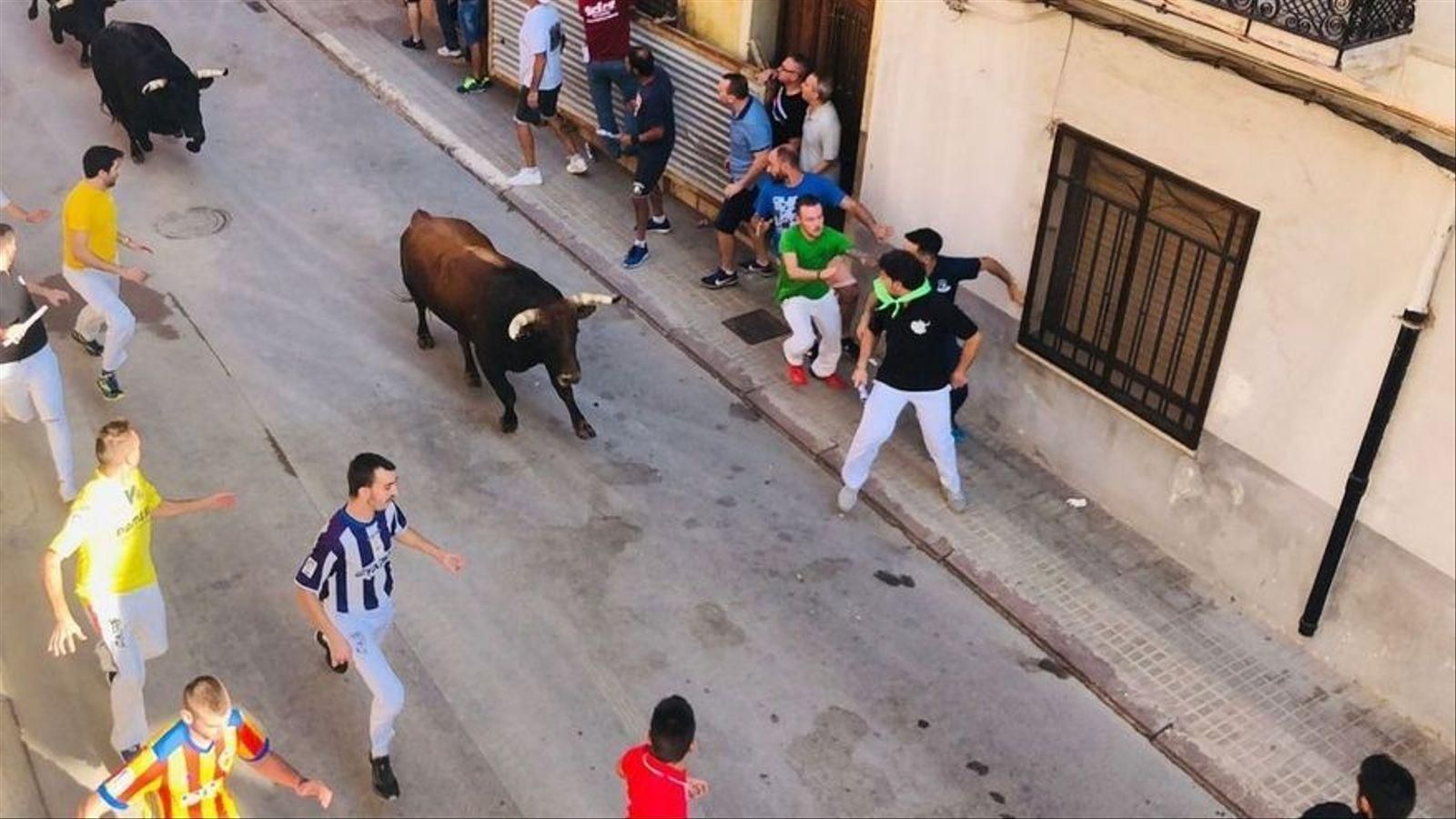 Imatge d'arxiu d'un acte de bous al carrer Imatge d'arxiu d'una celebració de bous al carrer