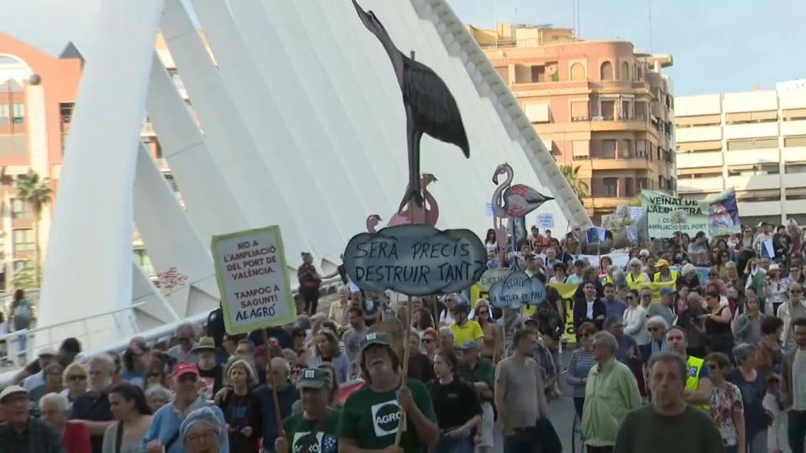 La manifestació d'esta vesprada contra l'ampliació nord del port de València