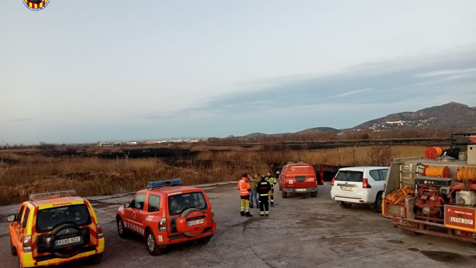 Una imatge de la marjal, este dijous