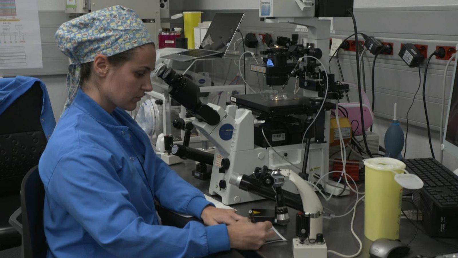 100.000 òvuls abandonats