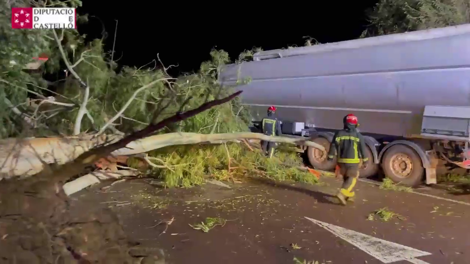 Els bombers de Castelló retiren les branques caigudes sobre un camió en una àrea de servei de l'AP-7 que no va deixar ferits