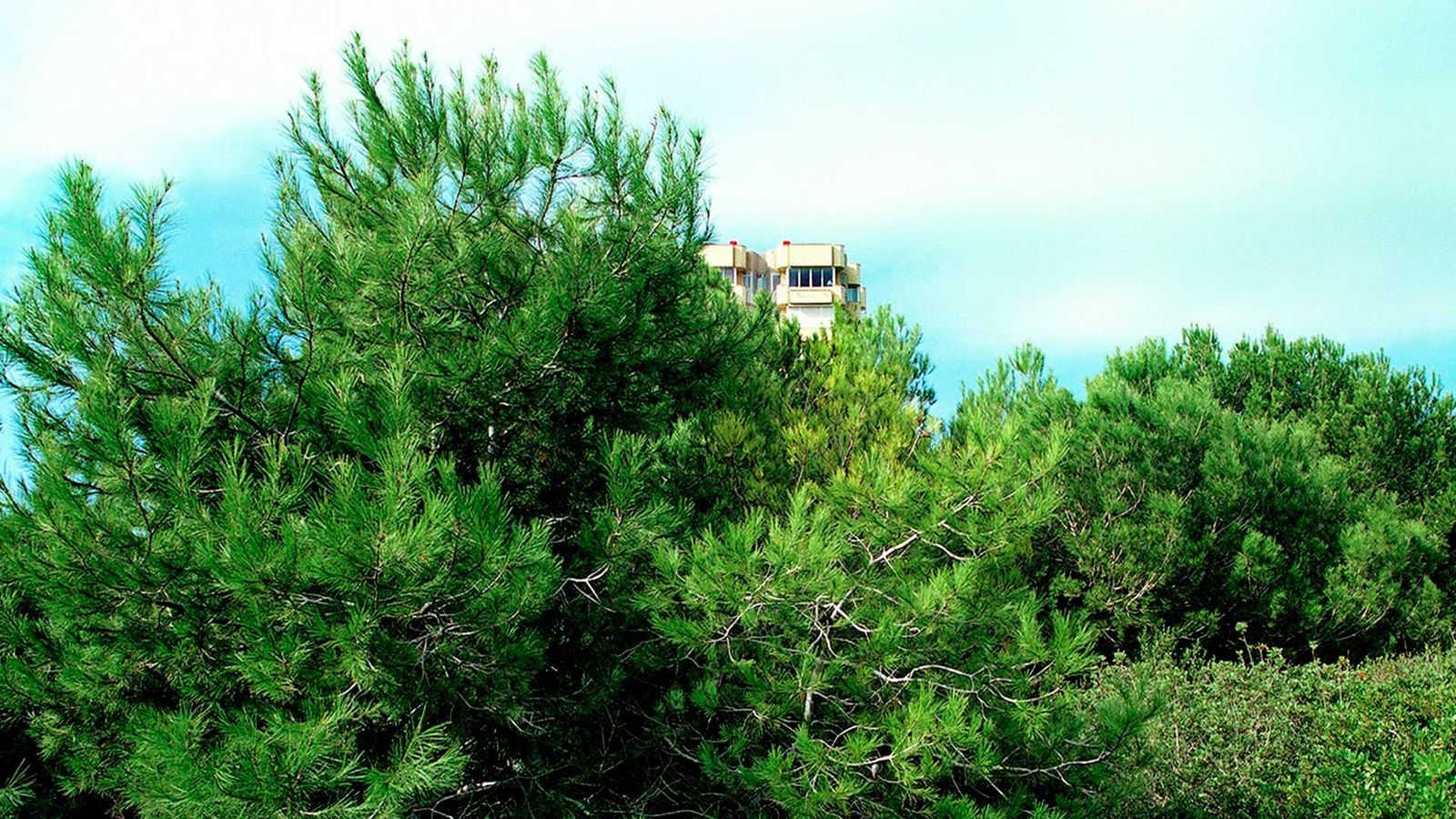 06.07.2023 | ‘Territori Boom, la defensa del Saler’, un documental sobre la història d’un espai natural en risc per l’explotació urbana