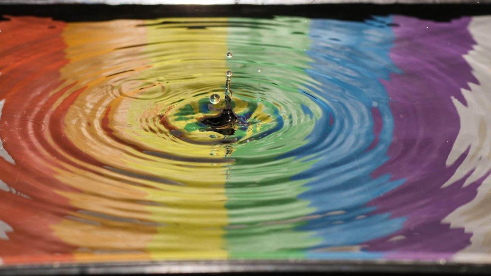 Aquest divendres es celebra el Dia Internacional contra l'Homofòbia, la Transfòbia i la Bifòbia