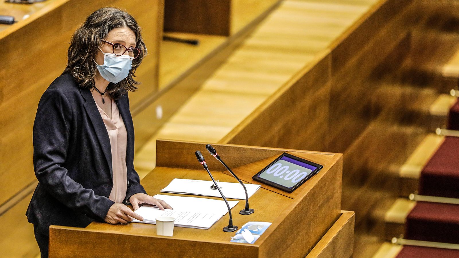 La vicepresidenta i consellera d'Igualtata i Polítiques Inclusives Mónica Oltra compareix a les Corts