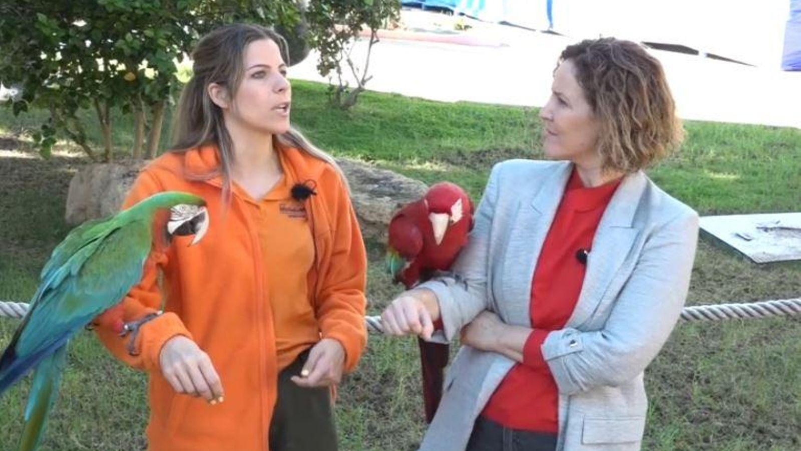 Animals rescatats es recuperen a Mundomar