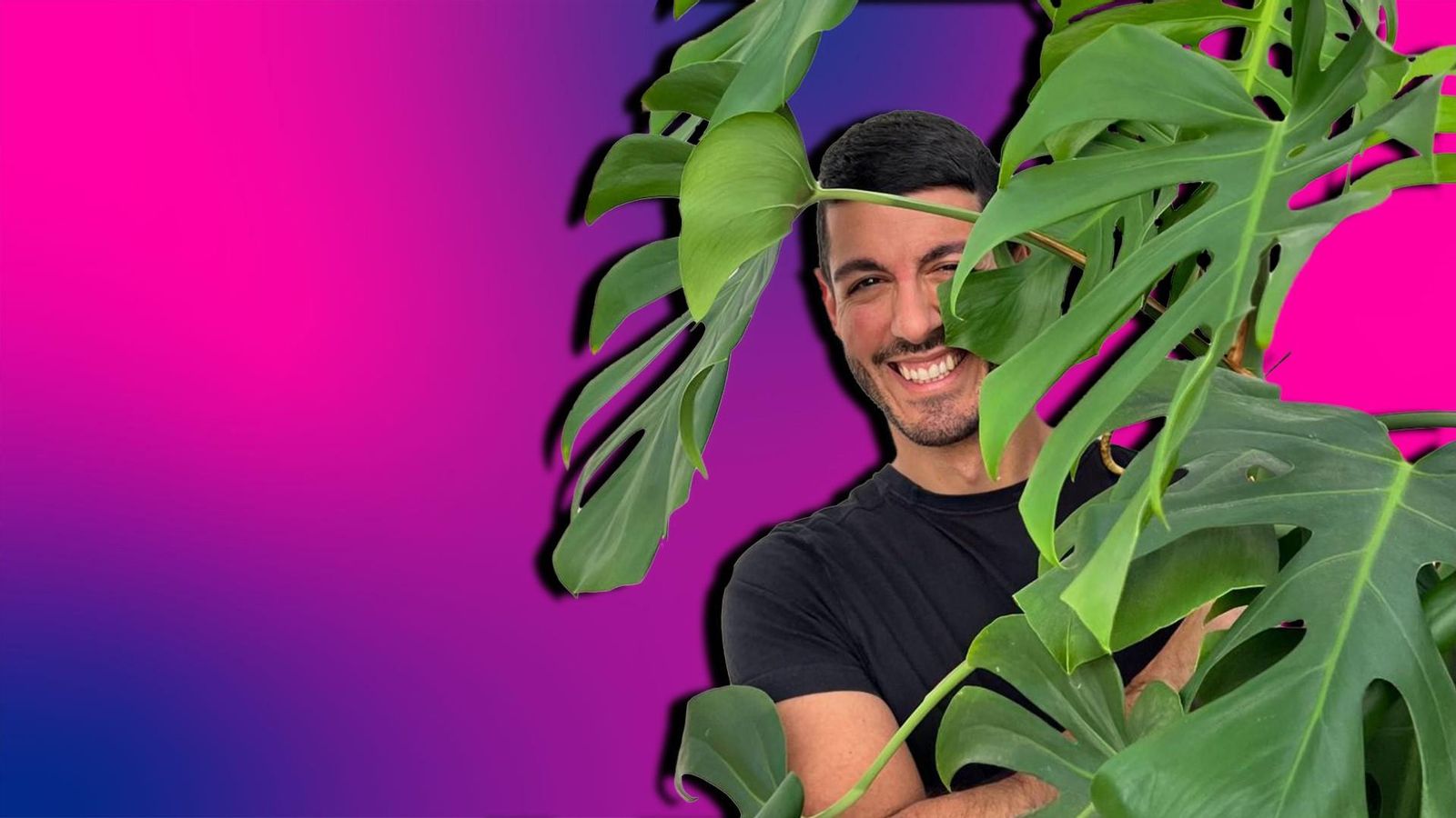 Si les plantes cuidares