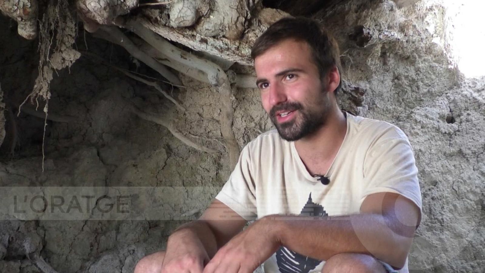 Olivera mil·lenària de Gorga